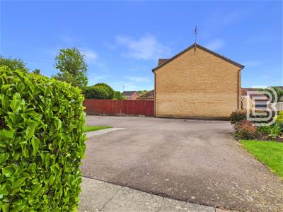 Picture 20